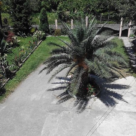 Guest House Vitali Gonio Dış mekan fotoğraf