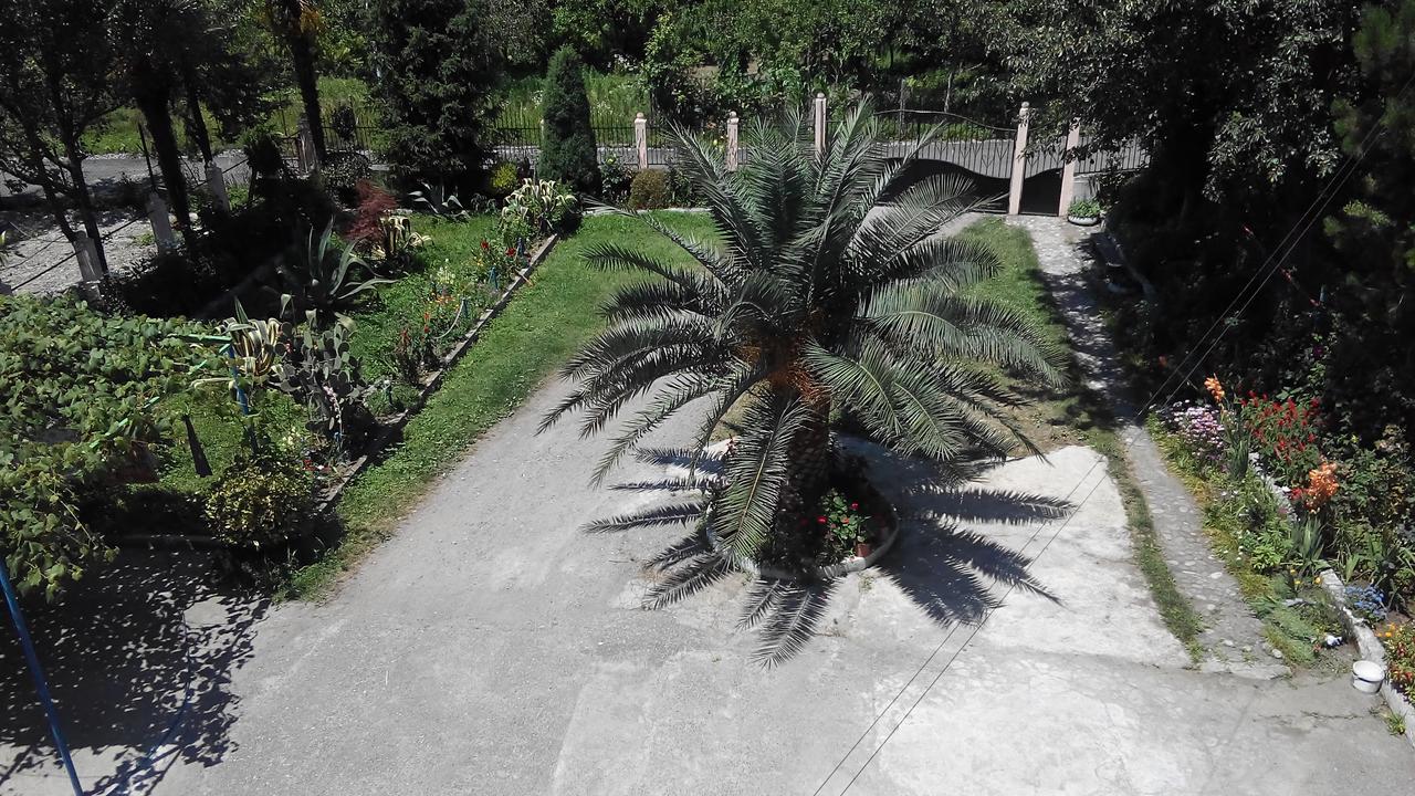 Guest House Vitali Gonio Dış mekan fotoğraf